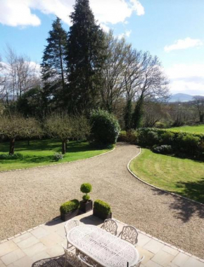 Hotels in Borris